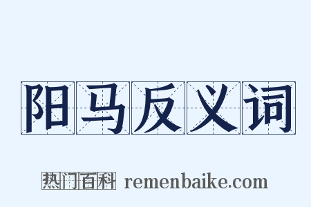 阳马反义词是什么意思的图片